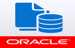 Oracle数据库管理工具有哪些?-北京开云在线登录公司