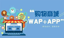 手机商城app开云在线登录流程-北京开云在线登录外包公司