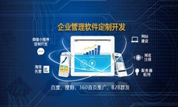 Erp开云在线登录的发展现状-北京开云在线登录公司开云在线登录