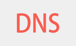 北京开云在线登录、DNS的基本概念、北京开云在线登录开云在线登录