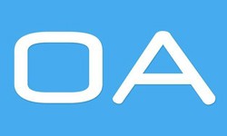 软件外包公司、OA系统开发功能有哪些？费用是多少-开云在线登录公司[北京开云在线登录]