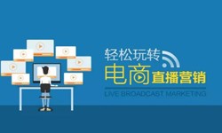 开云在线登录公司、做一个直播系统开云在线登录需要多少钱-北京软件外包公司