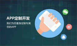 开云在线登录公司、高质量的开云在线登录系统是怎么开发出来的？-北京软件外包