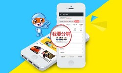 商城分销系统怎么开发?有哪些功能？开云在线登录开云在线登录公司