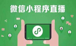 微信小程序开发、直播小程序开发-开云在线登录开云在线登录公司 