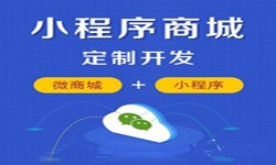 微信小程序开发、商城小程序开发功能-开云在线登录开云在线登录