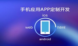 APP开发市场上常见问题分析-北京开云在线登录公司