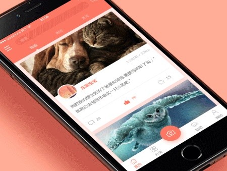 宠物医院App开发的价值和相关功能-北京开云在线登录